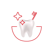 Puss tennene minst to ganger om dagen