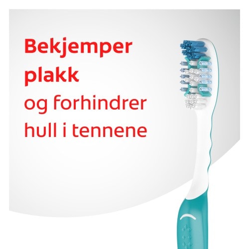 Alt Text